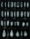 Fig. 3.