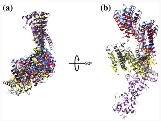 Fig. 6