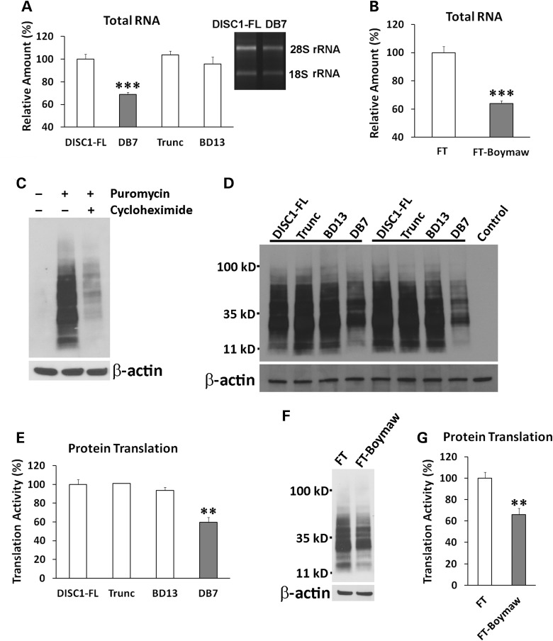 Figure 4.