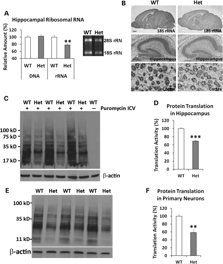 Figure 6.