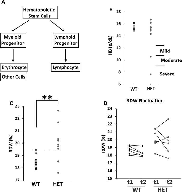 Figure 10.