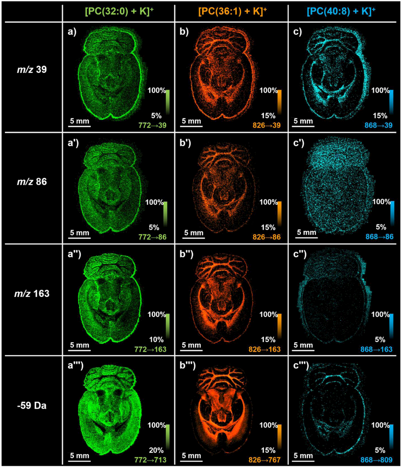 Figure 6: