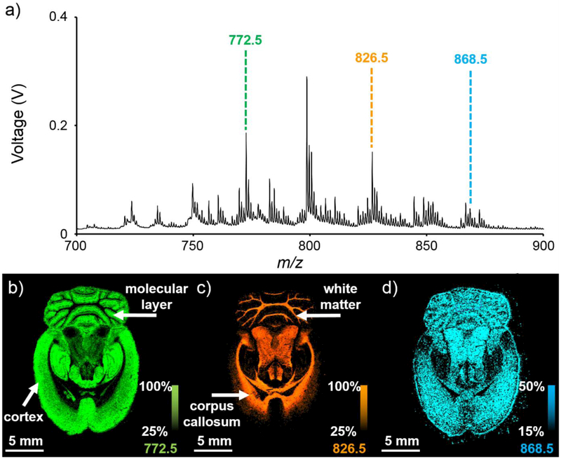 Figure 2: