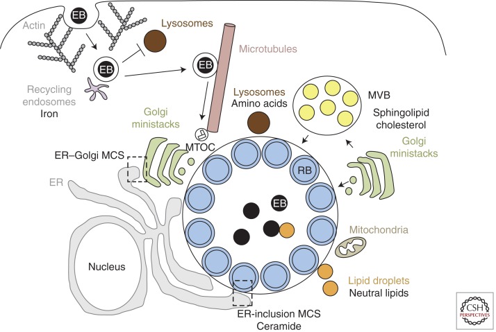 Figure 2.