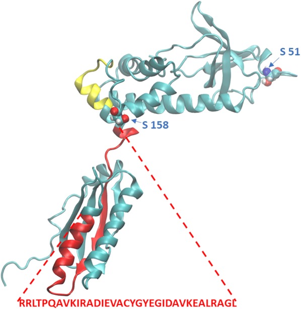 Fig. 3