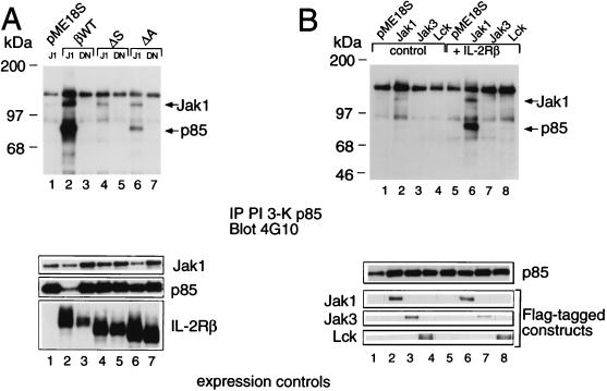 FIG. 7