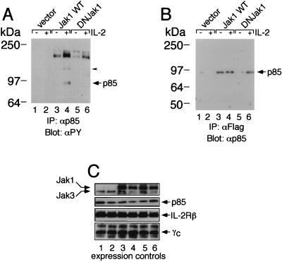 FIG. 9