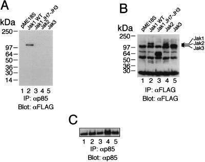 FIG. 6