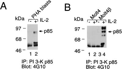 FIG. 8