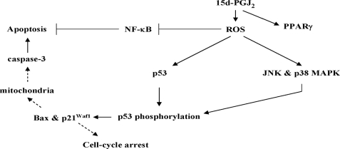 FIGURE 14.