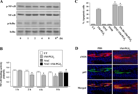 FIGURE 13.