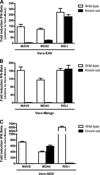 Fig 4