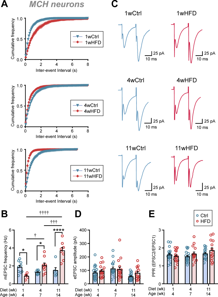 Figure 6