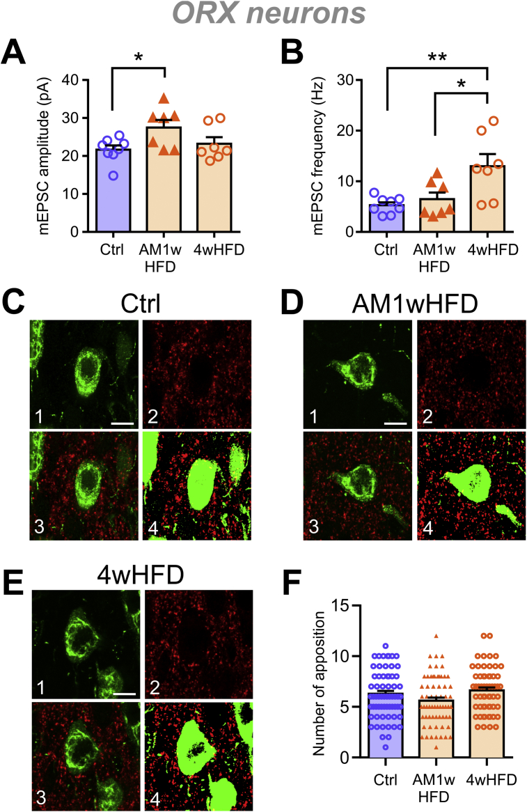 Figure 3