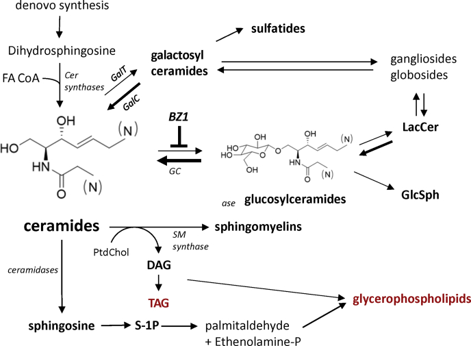 Fig. 6