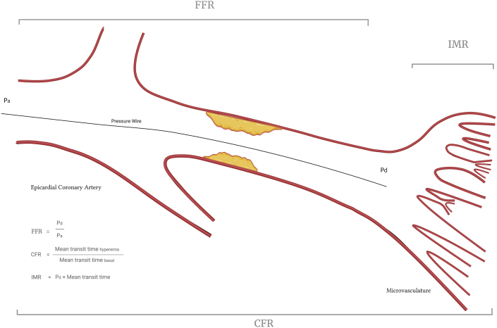 Figure 1