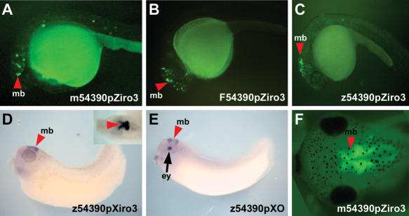 Figure 5.