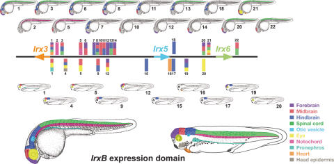 Figure 7.