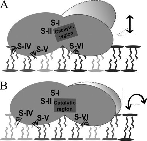 FIGURE 7.