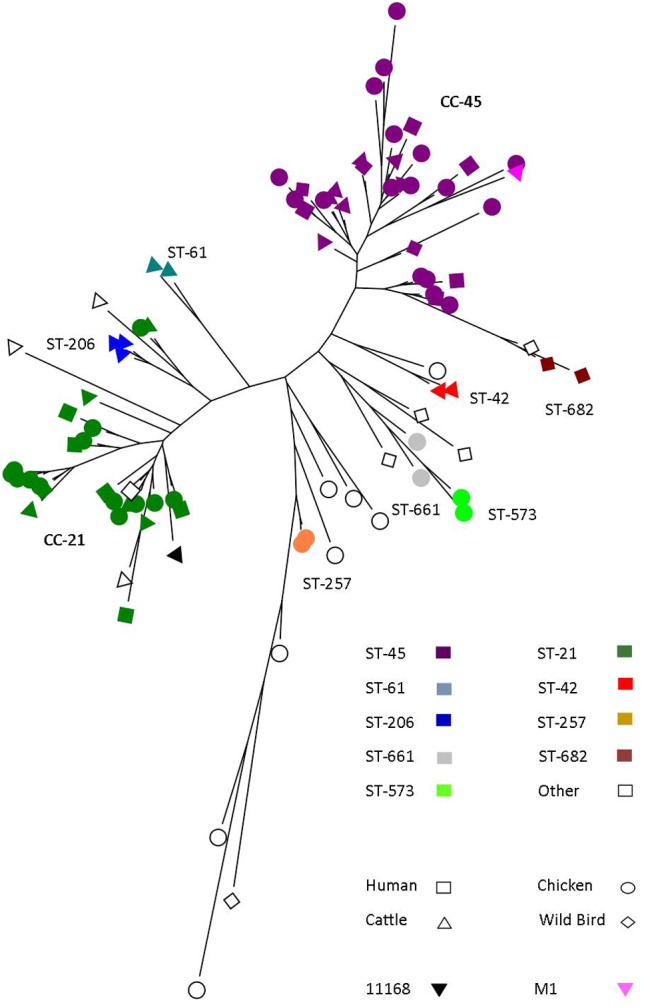 FIGURE 1