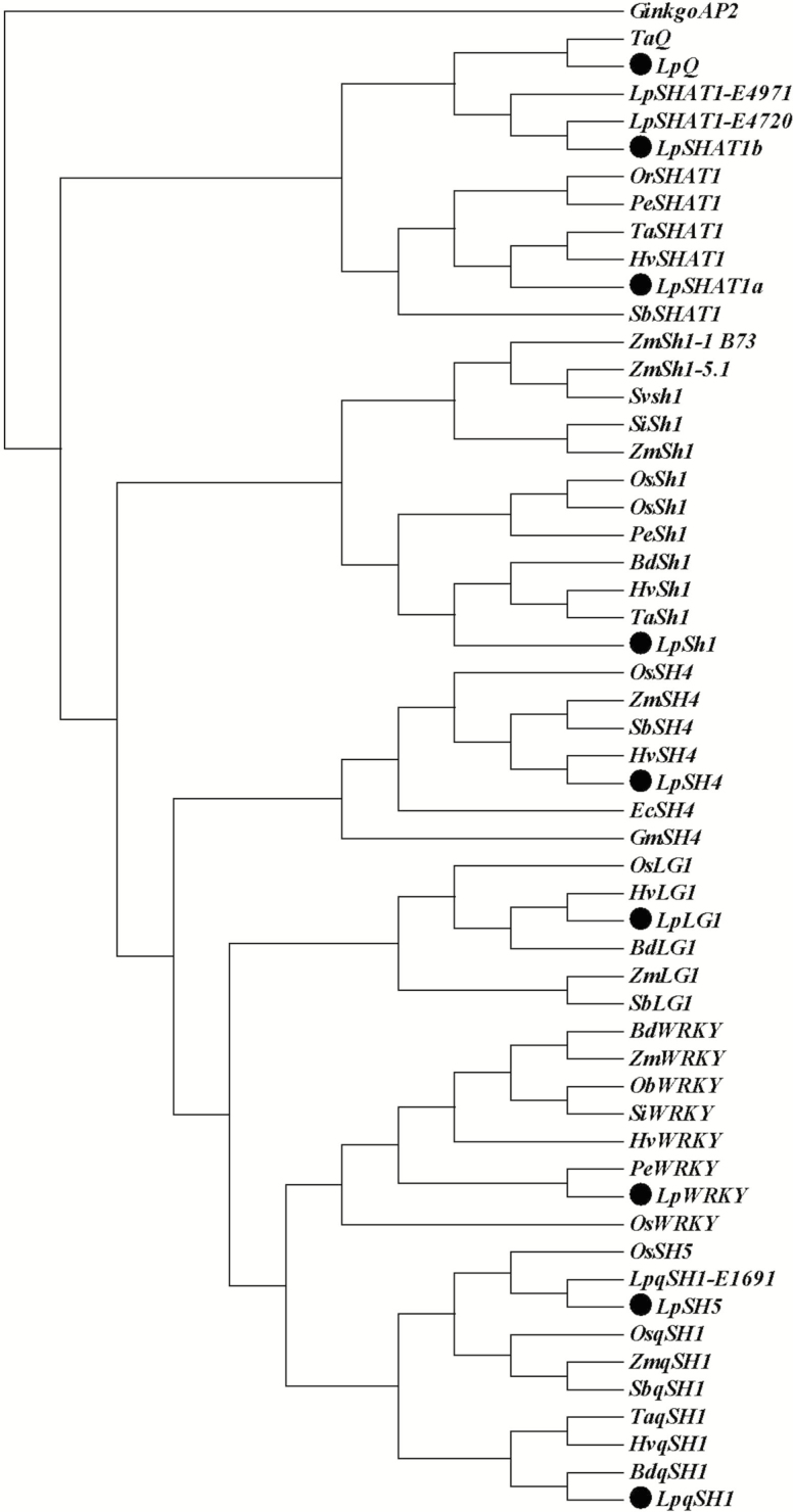 Figure 1.