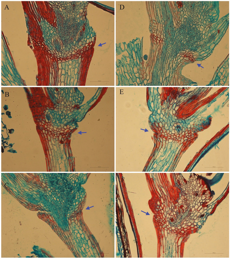 Figure 7.