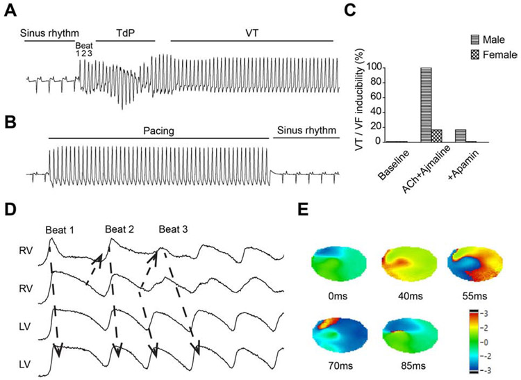 Figure 6.