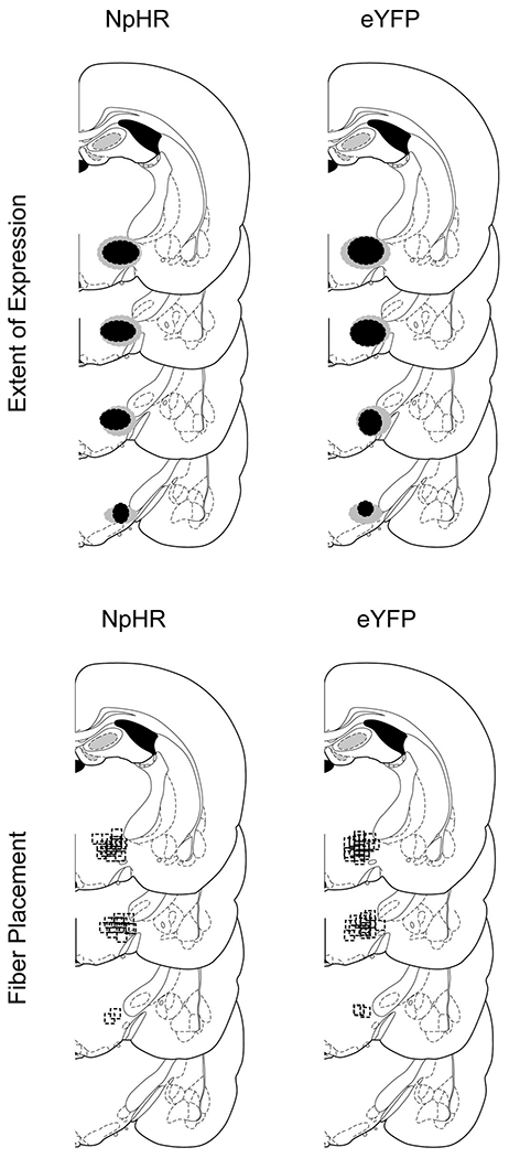 Extended Data Fig. 1