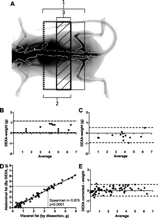 Fig. 1.