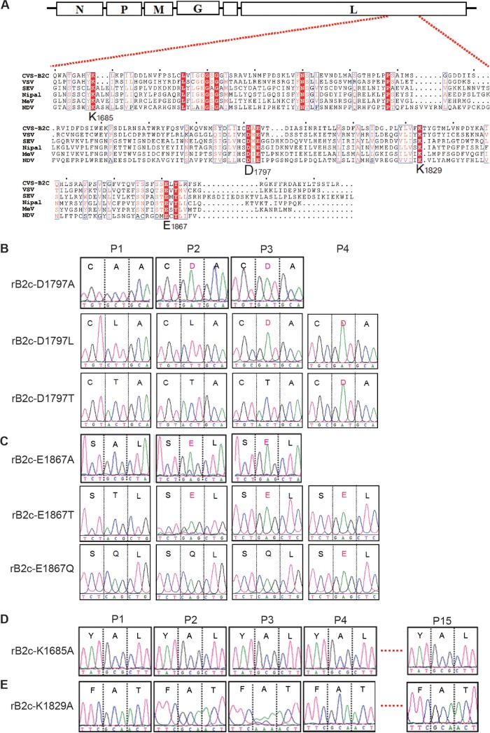 FIG 1