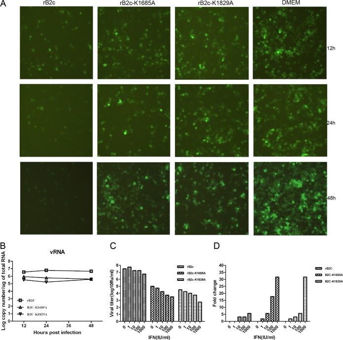 FIG 3