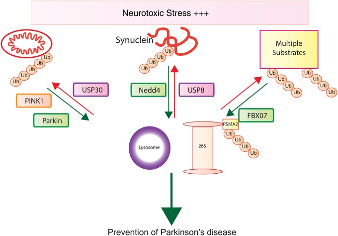 Figure 2.