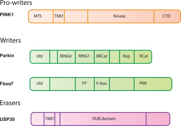 Figure 1.