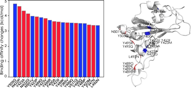 Figure 13