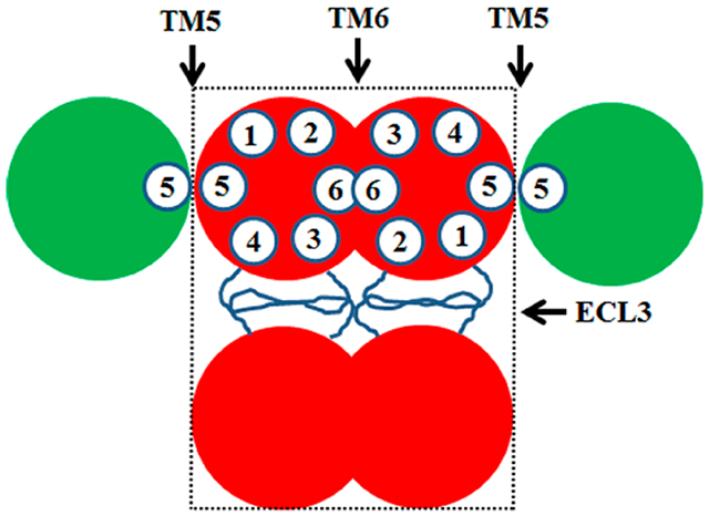 graphic file with name nihms-1718143-f0009.jpg