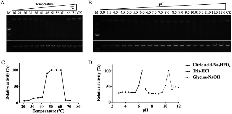 FIG 6