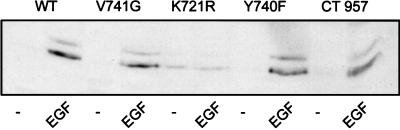 FIG. 8