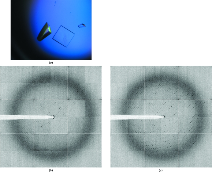 Figure 2