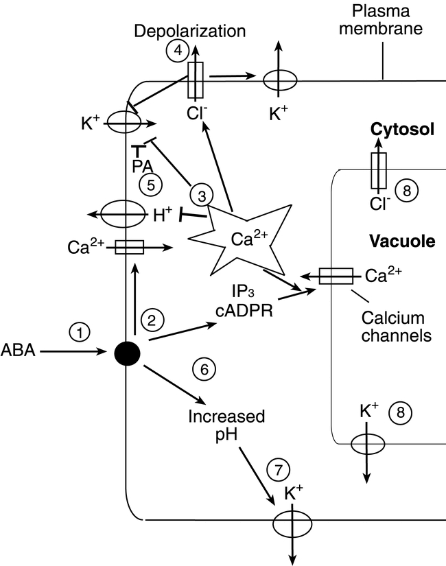 Figure 6.