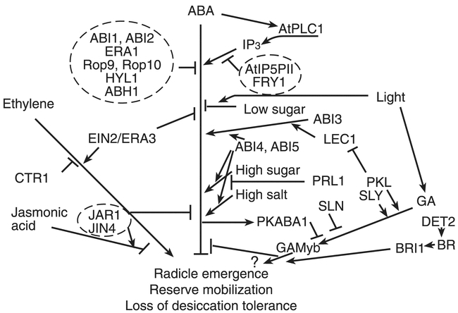 Figure 5.