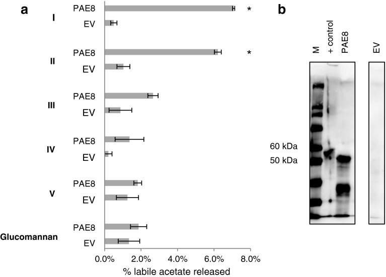 Fig. 7