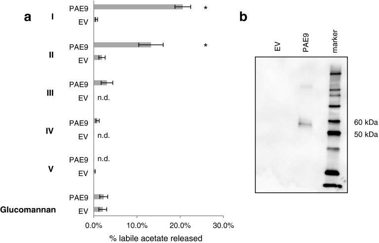 Fig. 8