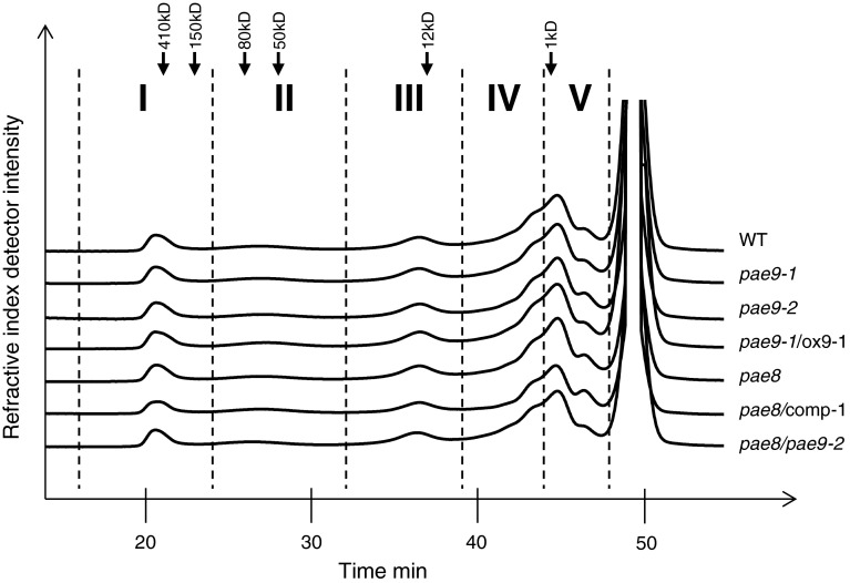 Fig. 6