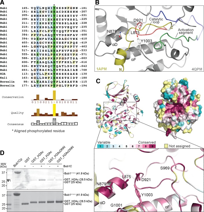 Fig 4