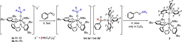 Scheme 6