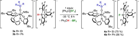 Scheme 5