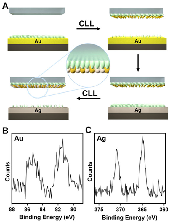 Figure 5.