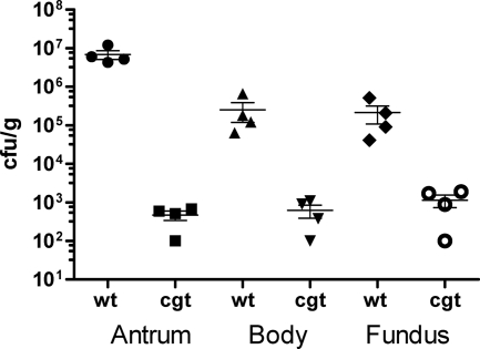 Fig. 7.