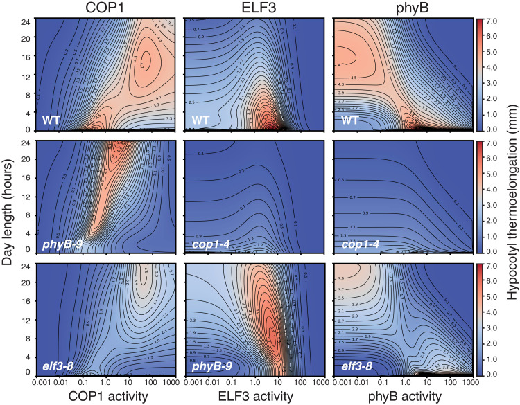 Fig. 6.