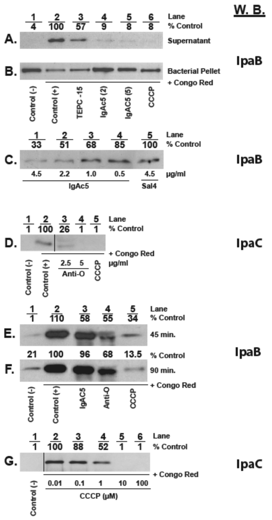 FIG 1 